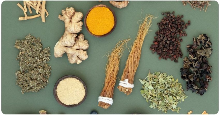 Rasayana et Longévité : Quand l’Ayurveda Inspire la Médecine du Futur