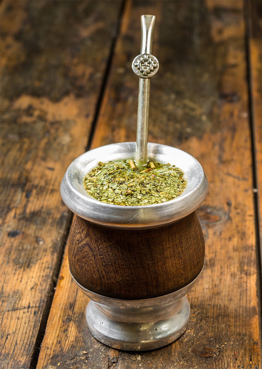 Yerba Maté : le secret énergétique de l’Amérique du Sud