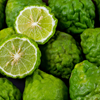 Bergamote